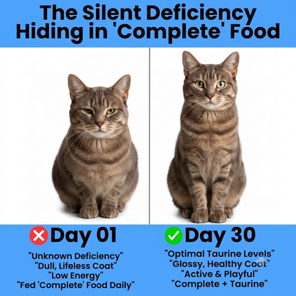Taurine Pro for cat health